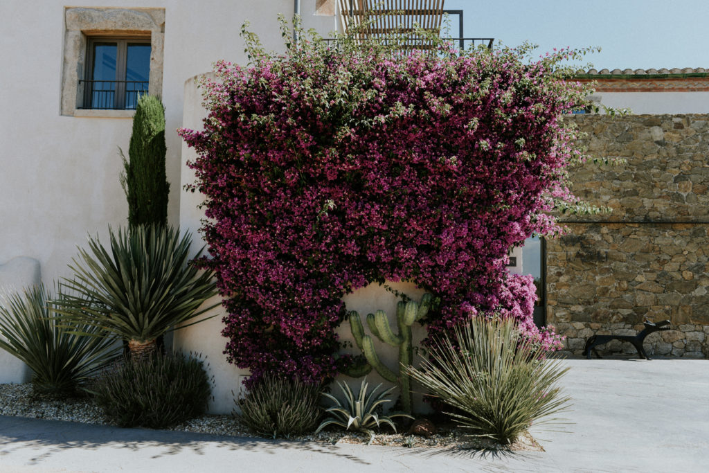 Fleurs hotel mas lazuli costa brava