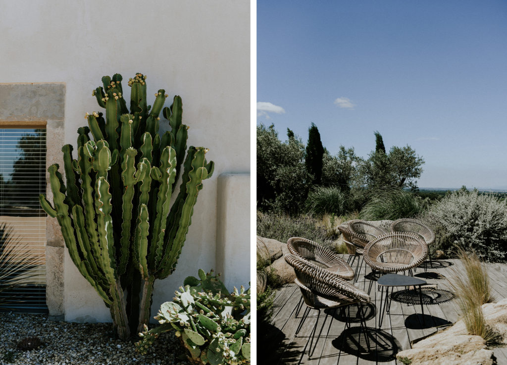 Cactus et chaise en rotin à l'hotel mas lazuli