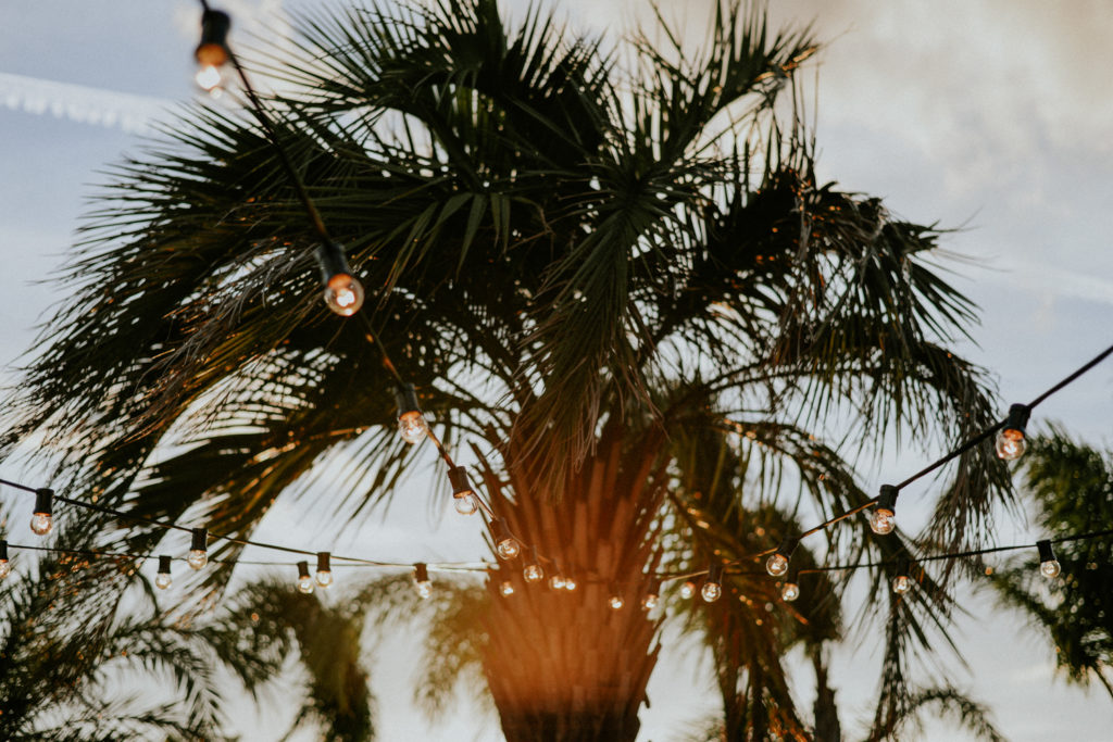 Photographe mariage hotel mas lazuli rosas - Palmier avec lumière guinguette