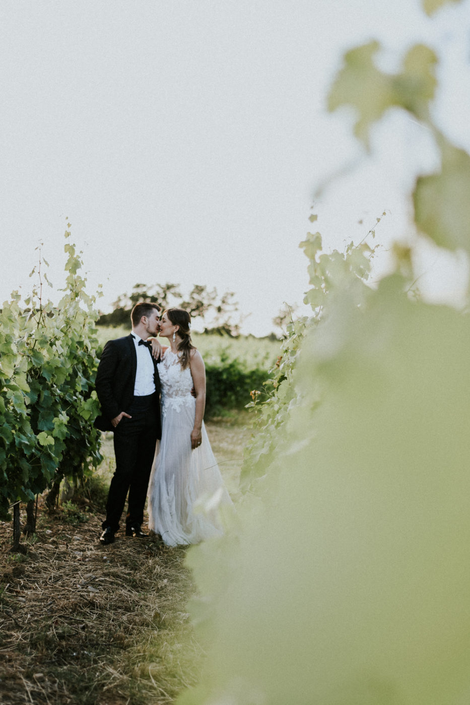 Photographe mariage Château Valmy Argeles sur Mer - Jeunes mariés dans les vignes